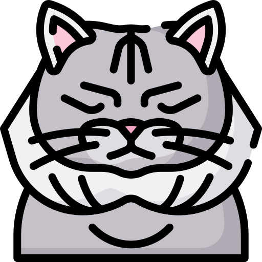 chat Icône gratuit chat Icône gratuit