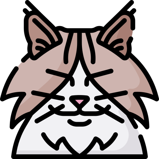 chat Icône gratuit chat Icône gratuit