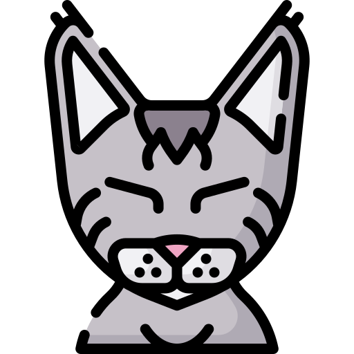 chat Icône gratuit chat Icône gratuit
