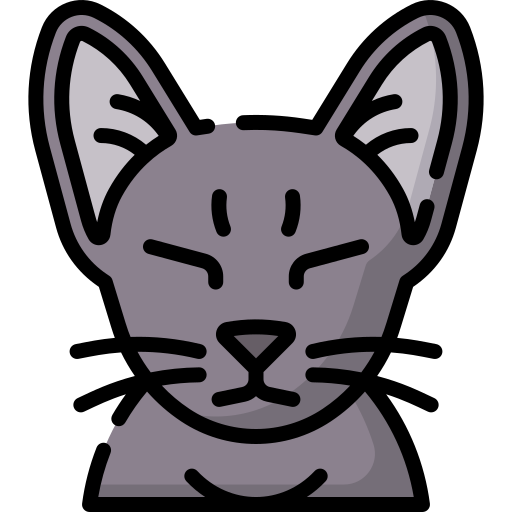 chat Icône gratuit chat Icône gratuit