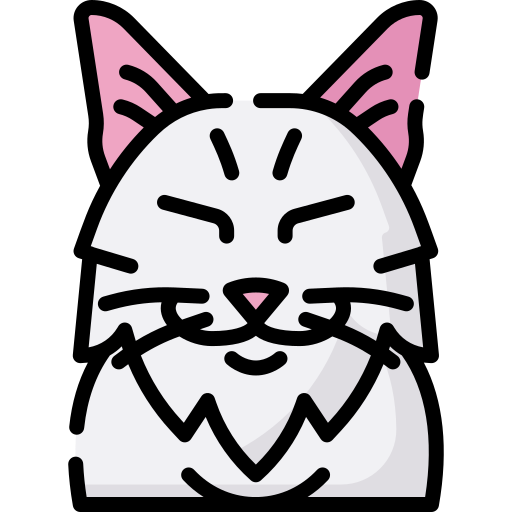 chat Icône gratuit chat Icône gratuit