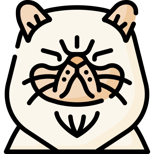 katze kostenlos Icon katze kostenlos Icon