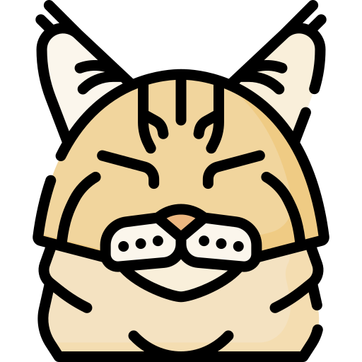 chat Icône gratuit chat Icône gratuit