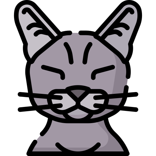 chat Icône gratuit chat Icône gratuit