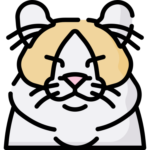 chat Icône gratuit