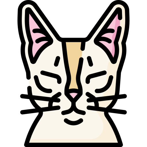 chat Icône gratuit chat Icône gratuit