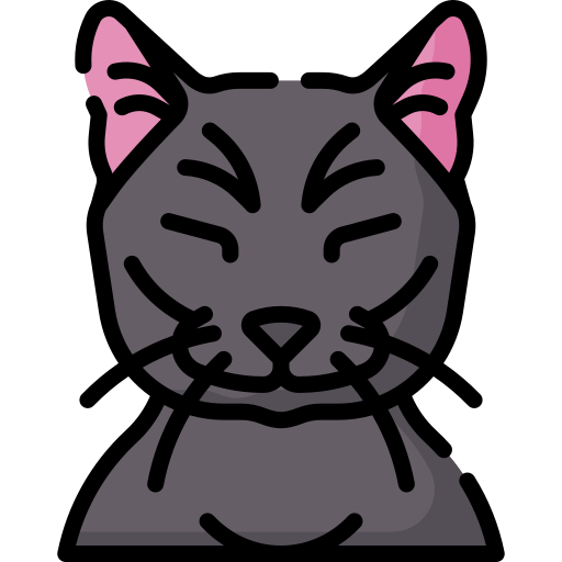 chat Icône gratuit chat Icône gratuit