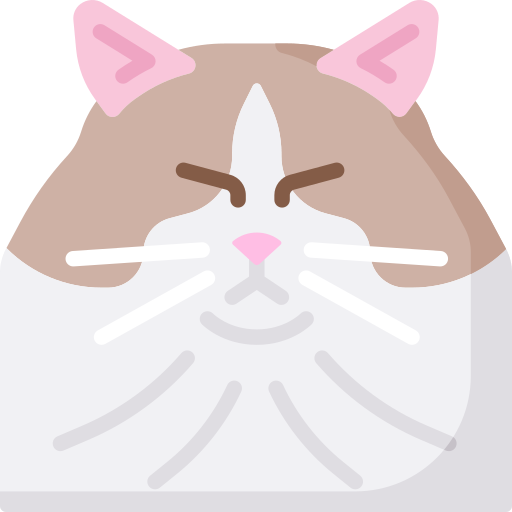chat Icône gratuit chat Icône gratuit