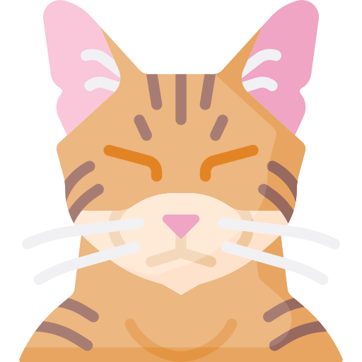 chat Icône gratuit chat Icône gratuit