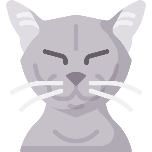 chat Icône gratuit chat Icône gratuit