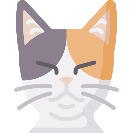 chat Icône gratuit chat Icône gratuit