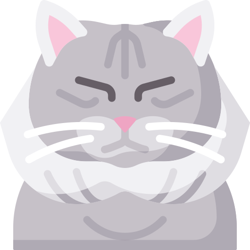 chat Icône gratuit chat Icône gratuit