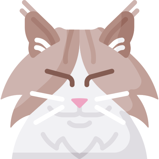 chat Icône gratuit chat Icône gratuit