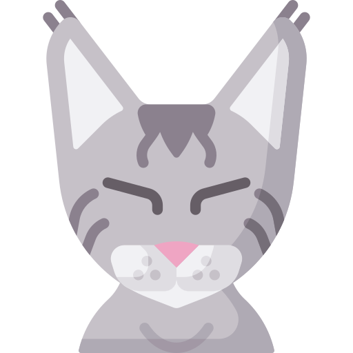 chat Icône gratuit chat Icône gratuit
