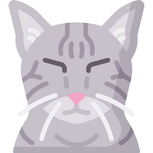 chat Icône gratuit chat Icône gratuit