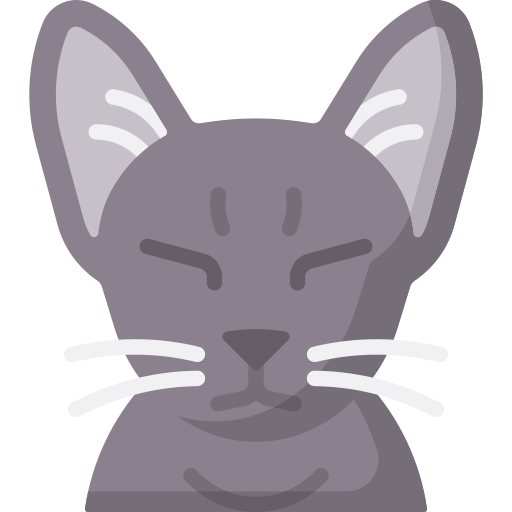 chat Icône gratuit chat Icône gratuit