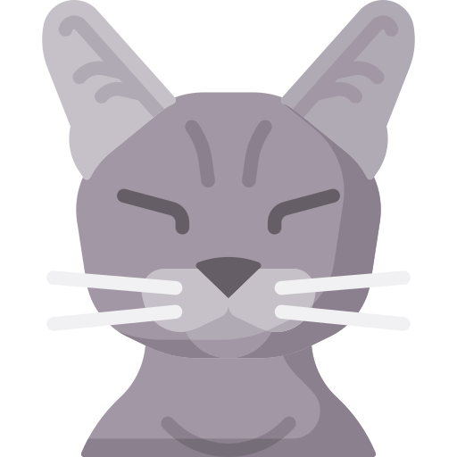 chat Icône gratuit chat Icône gratuit