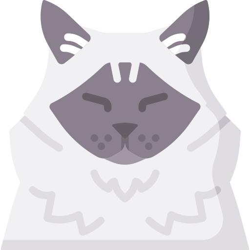 chat Icône gratuit chat Icône gratuit