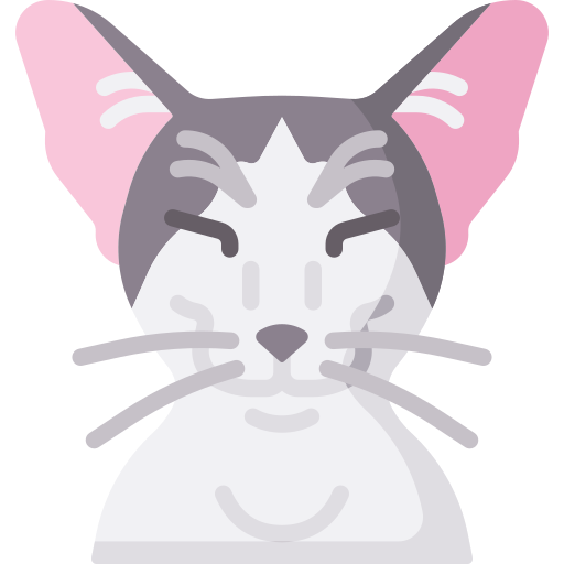 chat Icône gratuit chat Icône gratuit