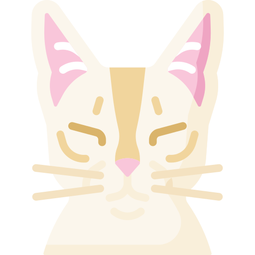 chat Icône gratuit chat Icône gratuit