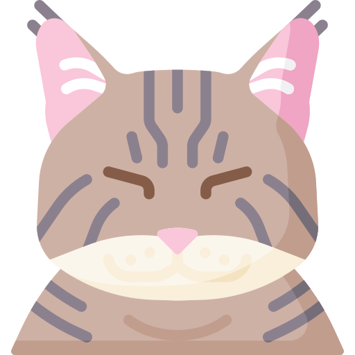 chat Icône gratuit