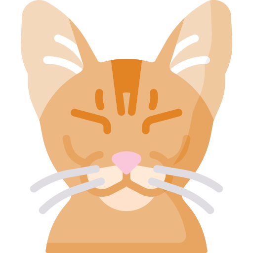 chat Icône gratuit chat Icône gratuit