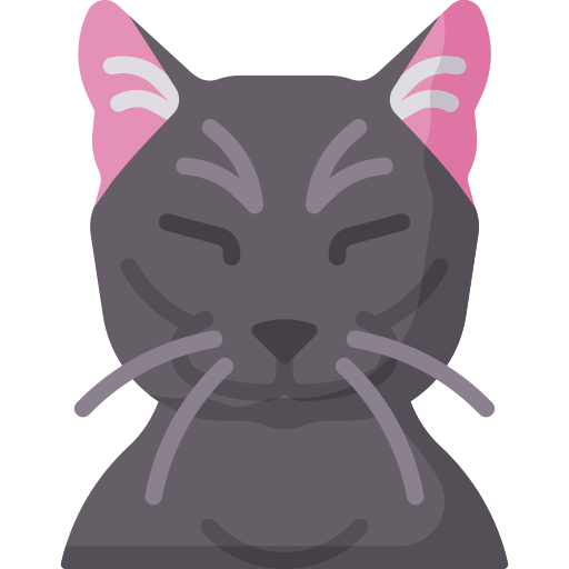chat Icône gratuit chat Icône gratuit