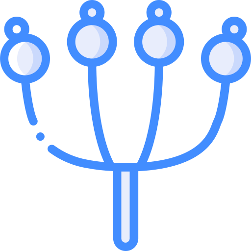 Flower free icon Flower free icon