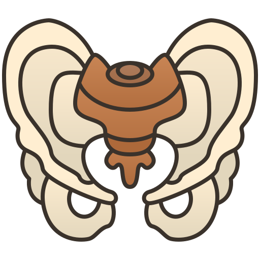 pelvis icono gratis