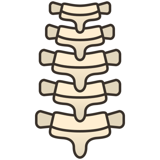 columna vertebral icono gratis