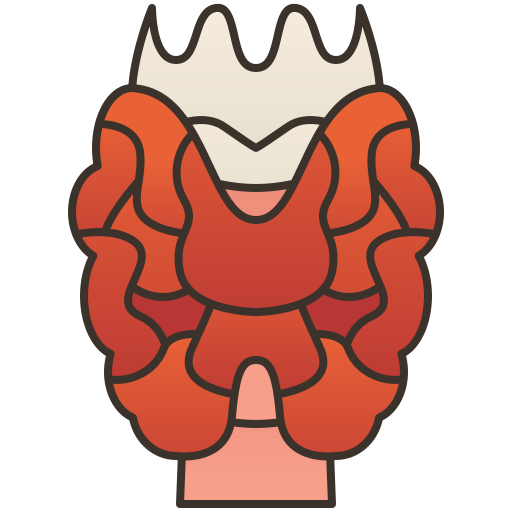 Thyroid Amethys Design Lineal Color Icon