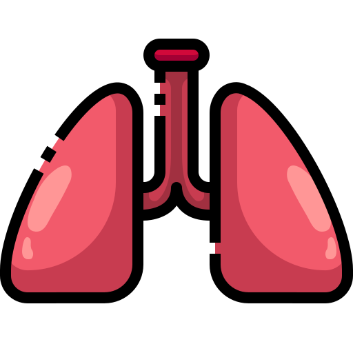 Lungs Justicon Lineal Color Icon