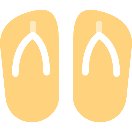 Flip flops Special Flat icon