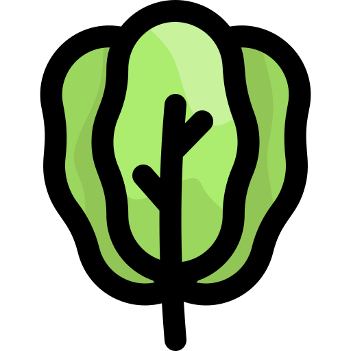Spinach free icon