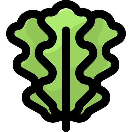 Руккола бесплатно иконка