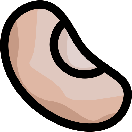 des haricots Icône gratuit