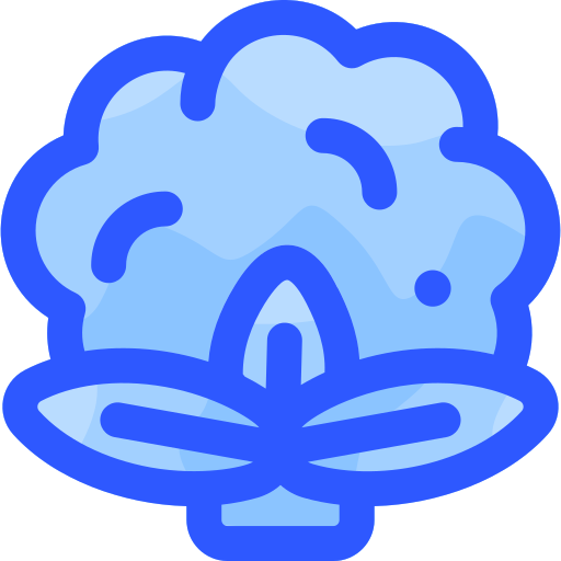 Cauliflower Vitaliy Gorbachev Blue icon