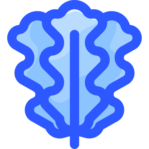 Руккола бесплатно иконка