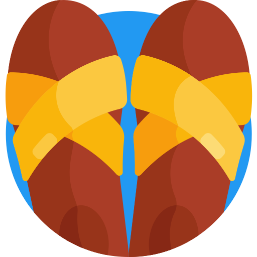 zapatillas icono gratis