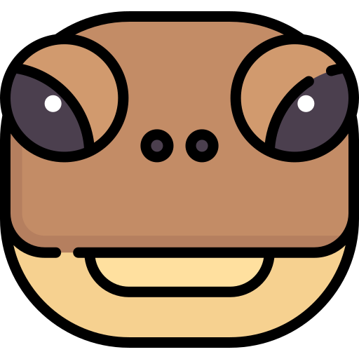 Turtle Special Lineal color icon