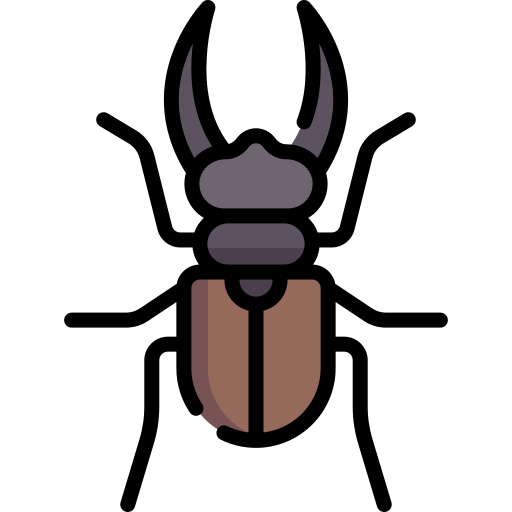 Beetle Special Lineal color icon