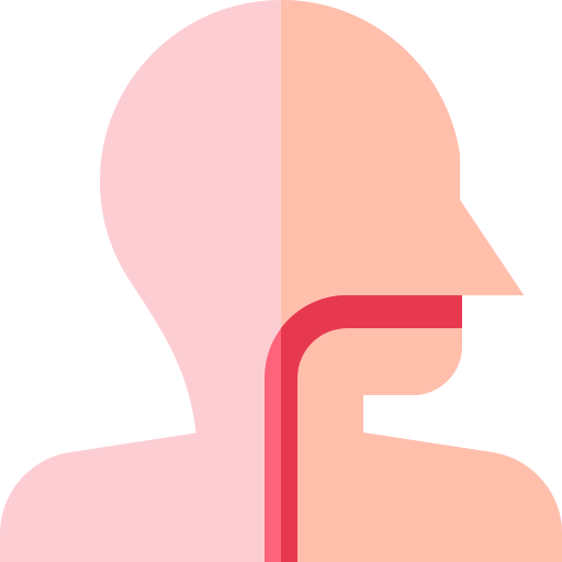 Larynx Basic Straight Flat icon