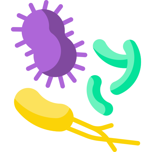 Conjunto De Iconos De Bacterias Virus Estilo De Dibujos Animados Png