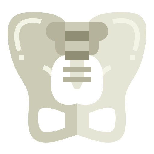 pelvis icono gratis