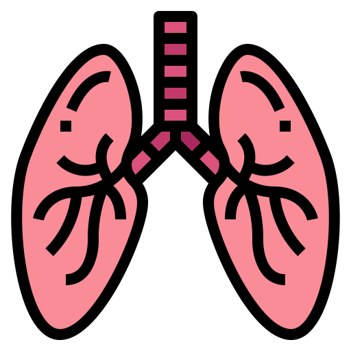 Lungs Smalllikeart Lineal Color icon