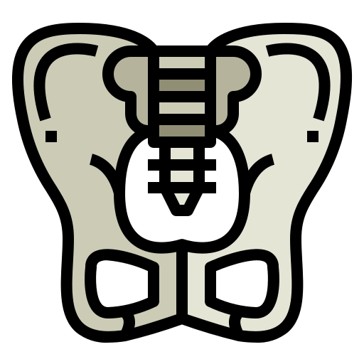 pelvis icono gratis