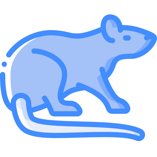 Rat free icon Rat free icon