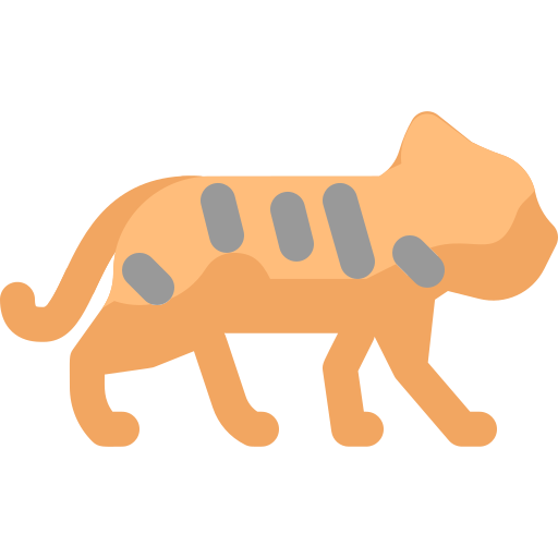 tigre icono gratis