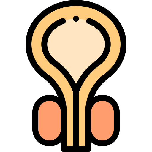 prostatakrebs kostenlos Icon prostatakrebs kostenlos Icon