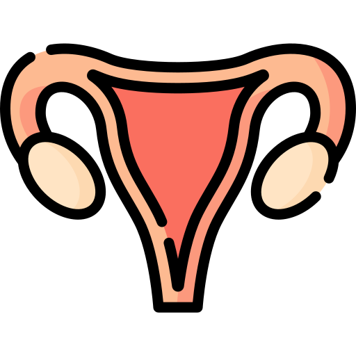 Uterus  free icon